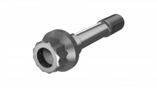 Double Hex Head Bolt